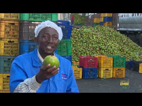 Discover the Untold Story Behind Azam Mango Juice's Journey