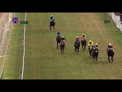Hippisme - 12e journée (3e course) : Kaydens Pride [Maingard] grâce à R.Beekhary