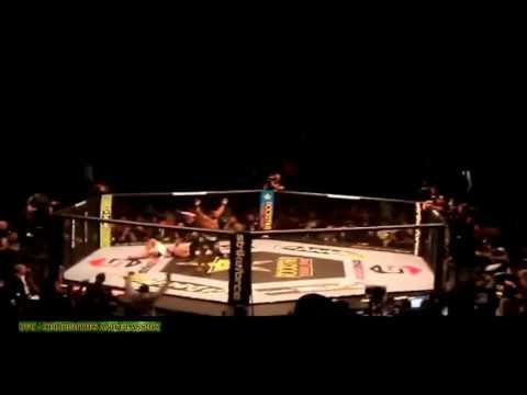 BIGFOOT SILVA KNOCKED OUT