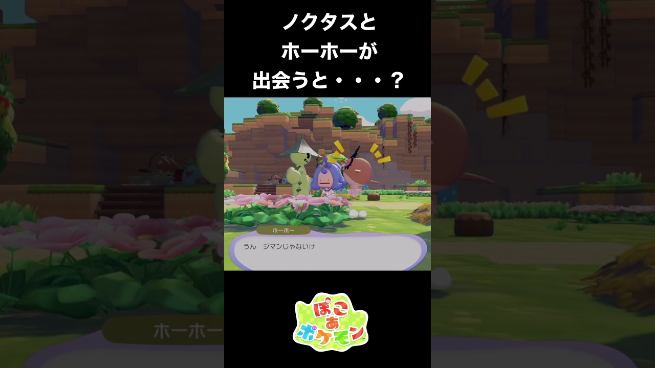 【ぽこあポケモン】ノクタスとホーホーが出会うと？？【ぽこポケ】 #ポケモン　 #nintendoswitch