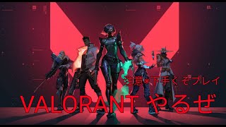 VALORANTするぞい
