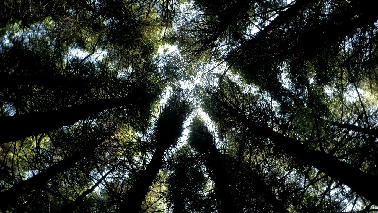 Leave | Short Horror Film