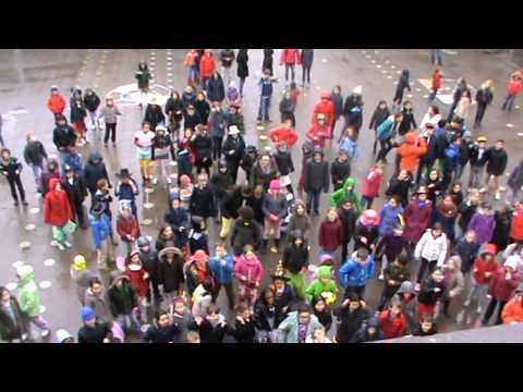 Move tegen pesten 2014