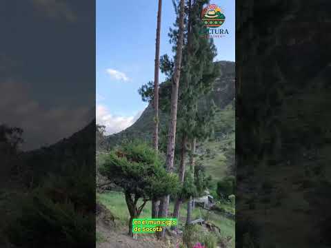 Socotá y sus mágicas veredas #cultura #campo #aventura