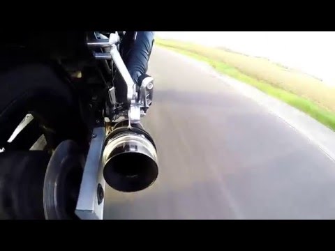 Yamaha Fzs 600 Fazer Delkevic 200mm exhaust