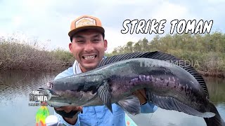 Download lagu Berburu Sambaran Predator Perairan Desa Nanga Tuan | MANCING MANIA STRIKE BACK (13/09/25) Part 1 mp3 Download lagu Berburu Sambaran Predator Perairan Desa Nanga Tuan | MANCING MANIA STRIKE BACK (13/09/25) Part 1 mp3