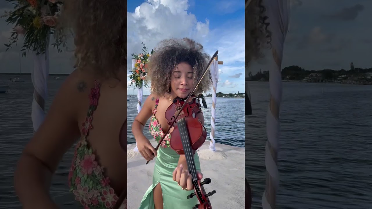 Promotional video thumbnail 1 for AmyViel Violinist