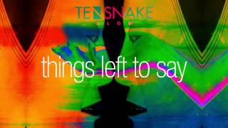 Tensnake - Things Left To Say