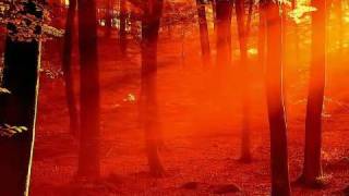 Peter Gabriel - Into the Sun