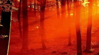 Peter Gabriel - Into the Sun