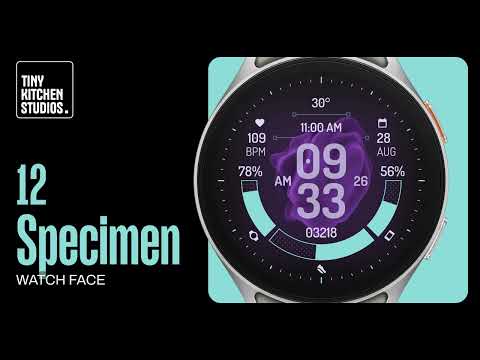 TKS 12 Specimen Watch Face