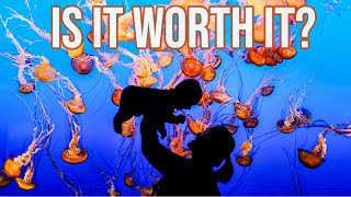 Should You Visit The Monterey Bay Aquarium?