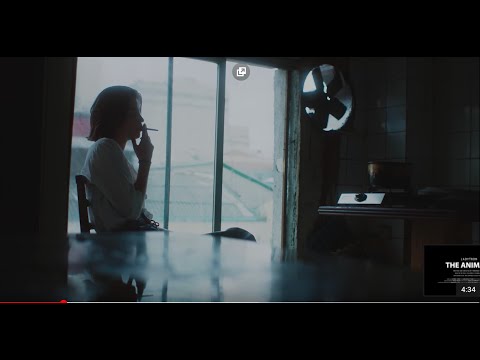 Video thumbnail for The Animals