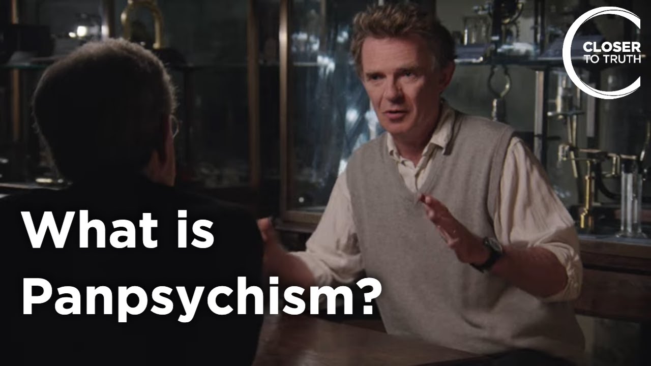 Galen Strawson - What is Panpsychism?