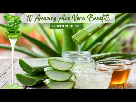 10 Amazing Aloe Vera Benefits Proven In Studies || Lesser Known Facts About Aloe Vera
