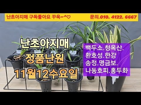 유튜브 썸네일