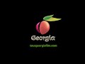 Georgia Entertainment Industries FremantleMedia North America 20th Television Debmar Mercury 2016