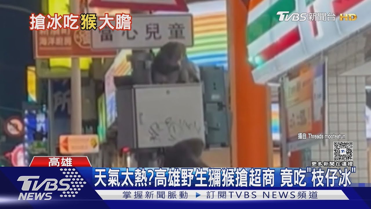 天氣太熱? 高雄野生獼猴搶劫 竟吃超商「枝仔冰」