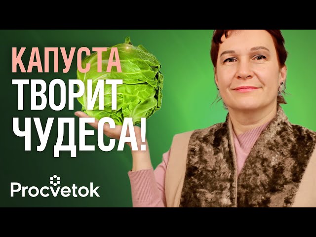 ДАЖЕ КУСОЧЕК КАПУСТЫ В ДЕНЬ УКРЕПИТ ЗДОРОВЬЕ! Снизит сахар, наладит работу ЖКТ, уберет лишний вес