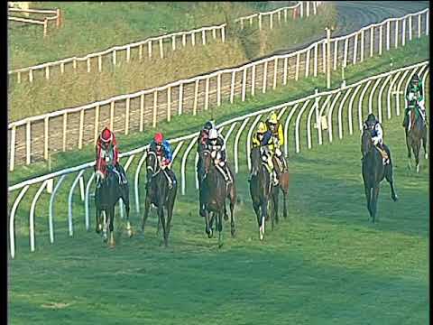 Galoppo 22/11/2017 - 3ª corsa