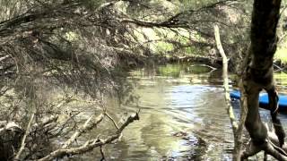 preview picture of video '2013 Drain Race - WA Downriver Kayak Race'