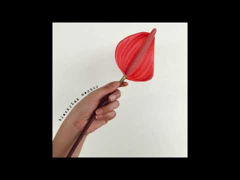 How You Like That x Ddu-du Ddu-du - Blackpink (Cover) // Kelly Adiya