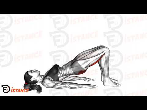 Exercice Hip-thrust (pont) au sol