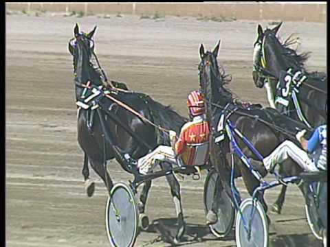 Trotto 14/05/2017 - 3ª corsa