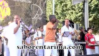 ENCUENTRO DE MELOMANOS - LUISITO AYALA  ( ALALAELALA )