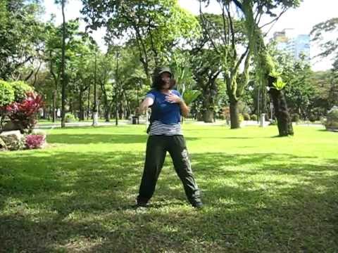 Don't Touch My Girl (Dance cover)