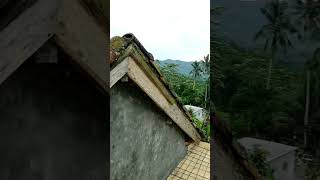Download lagu SUASANA PEDESAAN #shorts #short mp3 Download lagu SUASANA PEDESAAN #shorts #short mp3