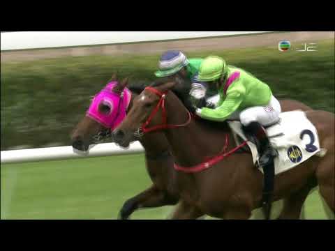 2020/21 (331) - Leading Fortune (連連行運) - 巴度