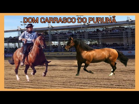 DOM CARRASCO DO PURUNÃ