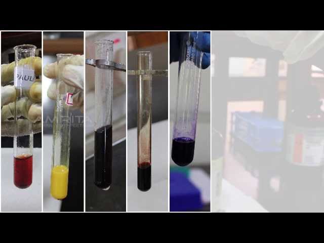 Video Pronunciation of xanthoproteic in English Video Pronunciation of xanthoproteic in English
