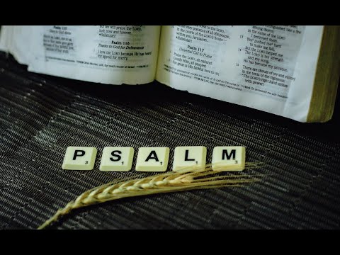 Psalm 57: "Seeking Refuge under God's Wings" #psalm57 #psalmsongs #jesus #biblestudy #faith #christ