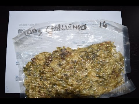 HBW Vlog14 - Whittington Challenger IPA - Brew day