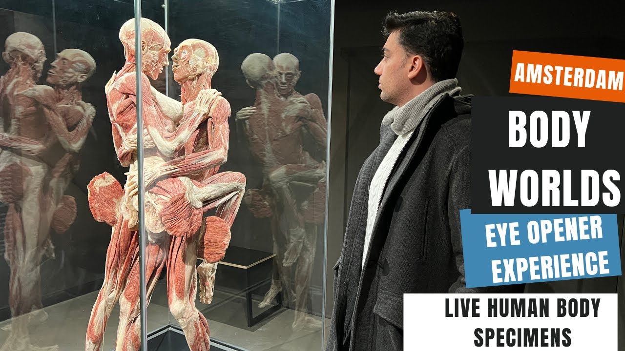 Experience Amsterdam's Body Worlds through the eyes of a tourist in this captivating video.