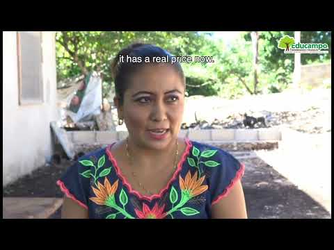 Turn indigenous women into women entrepreneurs