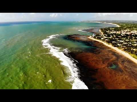 MATA DE SÃO JOÃO (BA)