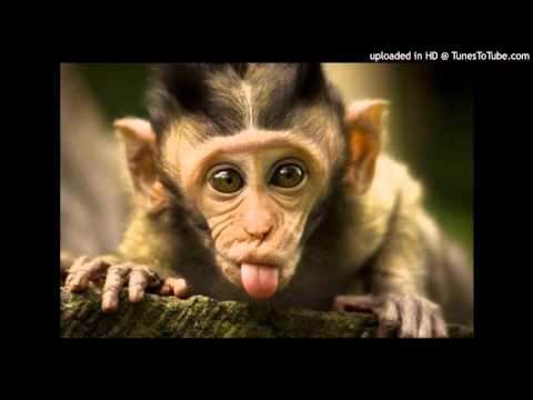 Today's Tango Is... El Monito - Julio De Caro 23-05-1939