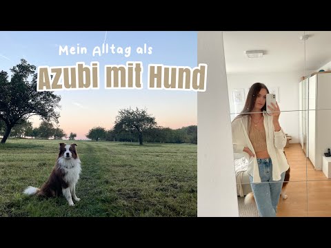 My Daily Life as an Apprentice with a Dog | 8-Hour Workday | Time Management