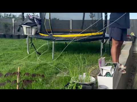 Metaltex 30 m Retractable Clothes Line still working few months later