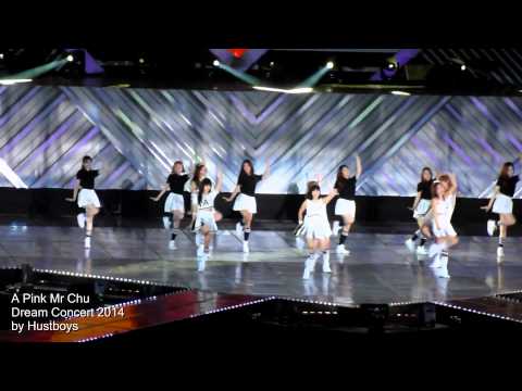 Apink   Mr Chu Dream Concert 2014