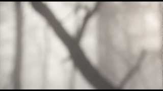 Max Richter - November