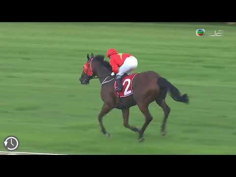 2019 獅城盃 2019 Lion City Cup SIN G1