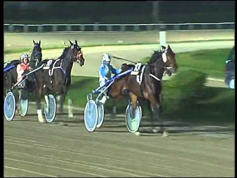 Trotto 01/12/2015 - 8° corsa TRIS