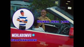 Download lagu EMAPHAKADENI BY MEHLABOMVU 2025 Ep mp3