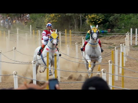 Dicky Brummel vs Verdugo Dash - O DESAFIO DO ANO!!