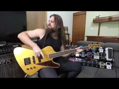 SURVIVOR  - Bass Playthrough -  Armored Dawn