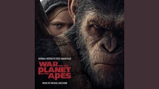 A Tide in the Affairs of Apes